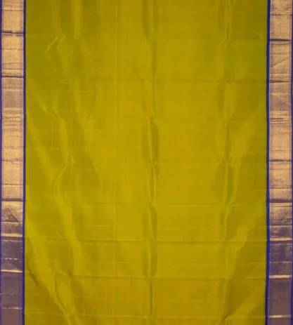 Light Green Kanchipuram Silk Saree2