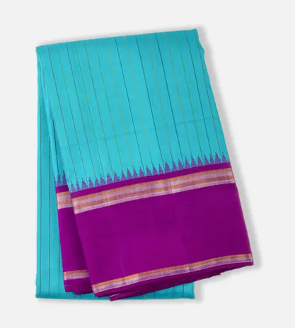 Light Blue Kanchipuram Silk Saree1