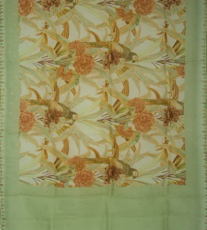 Pastel Green Organza Embroidery Saree3