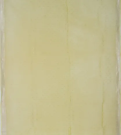 Light Yellow Linen Georgette Saree2