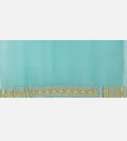 Pastel Green Banarasi Georgette Saree4
