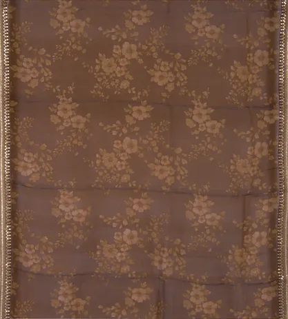 Brown Organza Embroidery Saree2