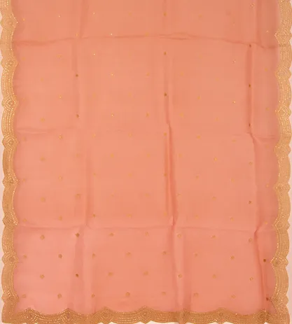 Light Pink Organza Embroidery Saree3