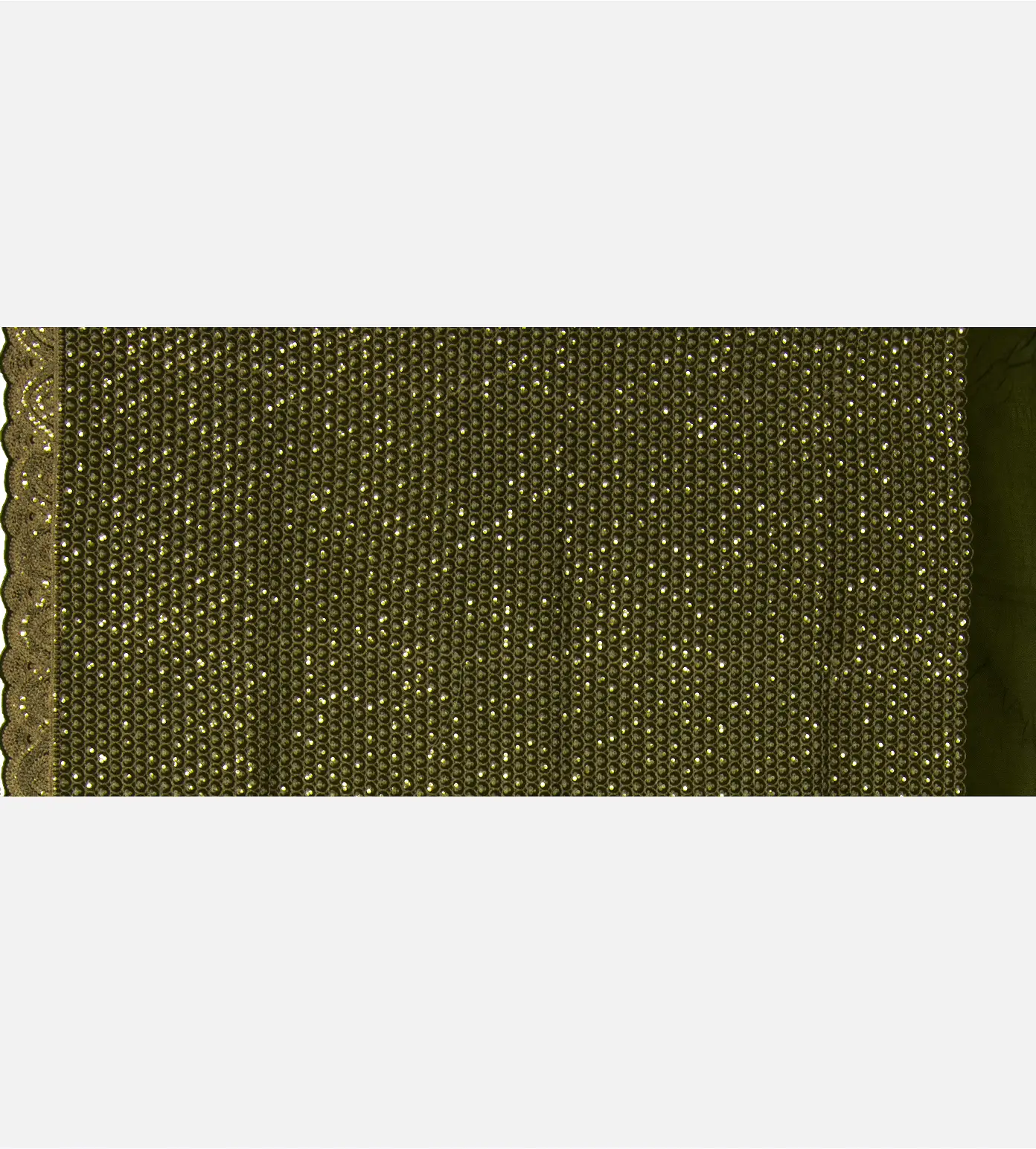 Olive Green Organza Embroidery Saree4