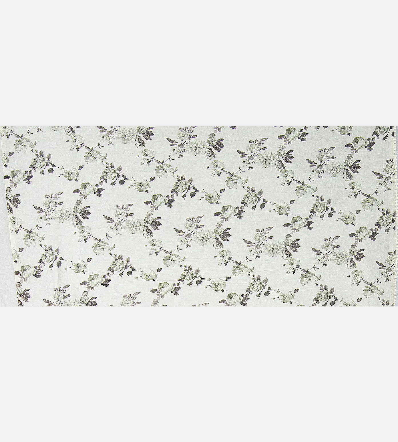 Off White Organza Embroidery Saree4