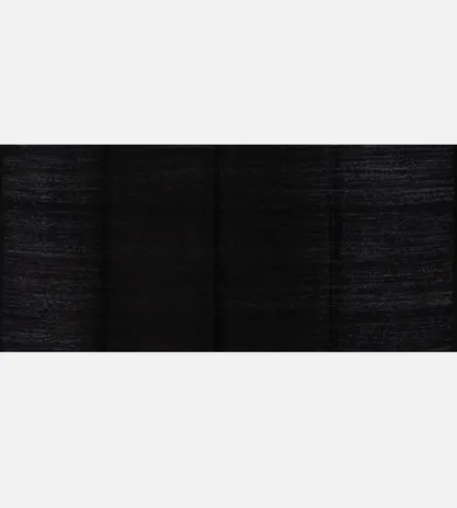 Black Tussar Saree4