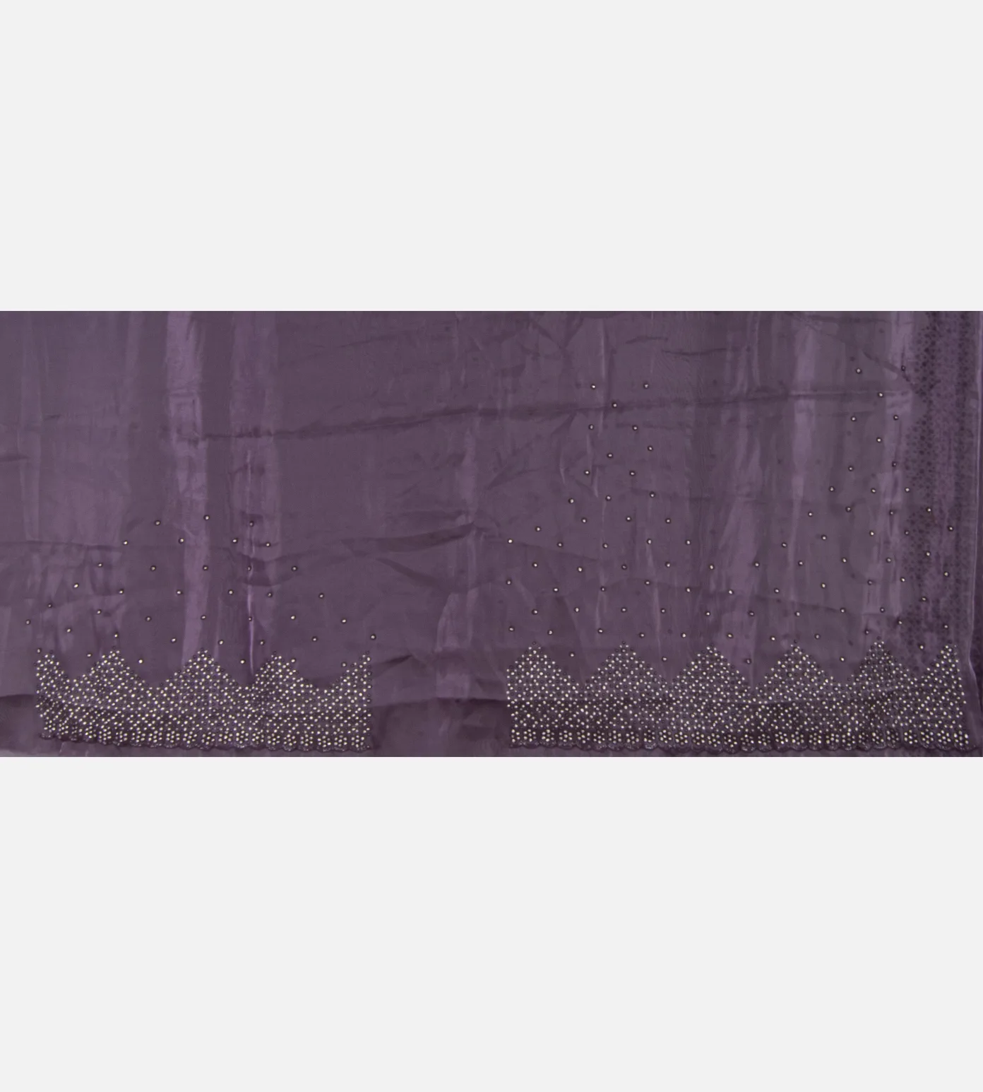 Aubergine Purple Tissue Organza Saree4