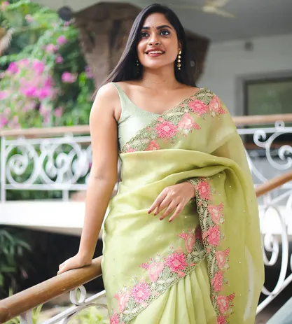 Light Green Organza Cut Work Saree1