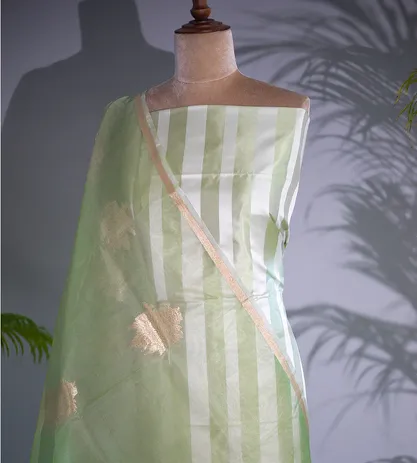 Pastel Green Banarasi Silk Salwar2