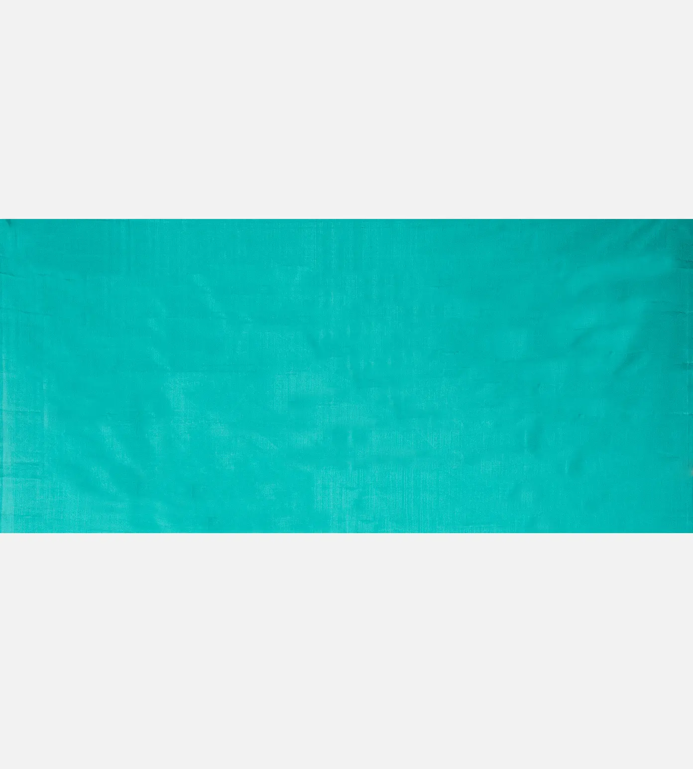 Pastel Green Kanchipuram Silk Saree4