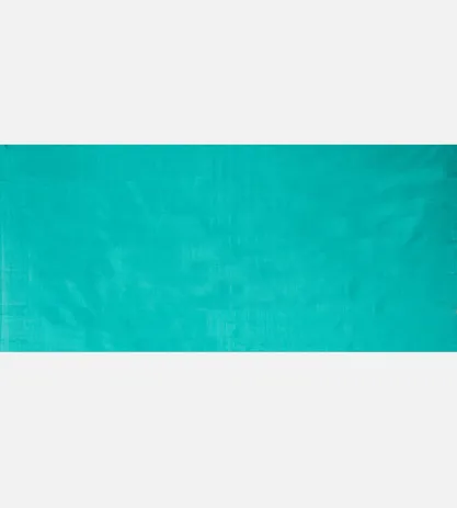 Pastel Green Kanchipuram Silk Saree4