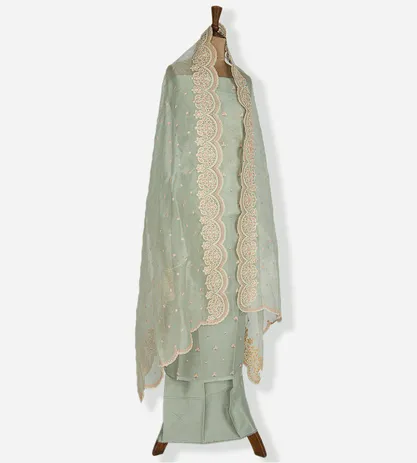 Grey Organza Embroidery Salwar3