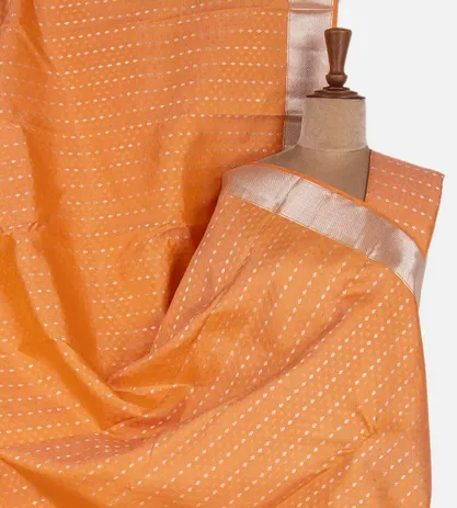 Orange Kanchipuram Silk Saree1