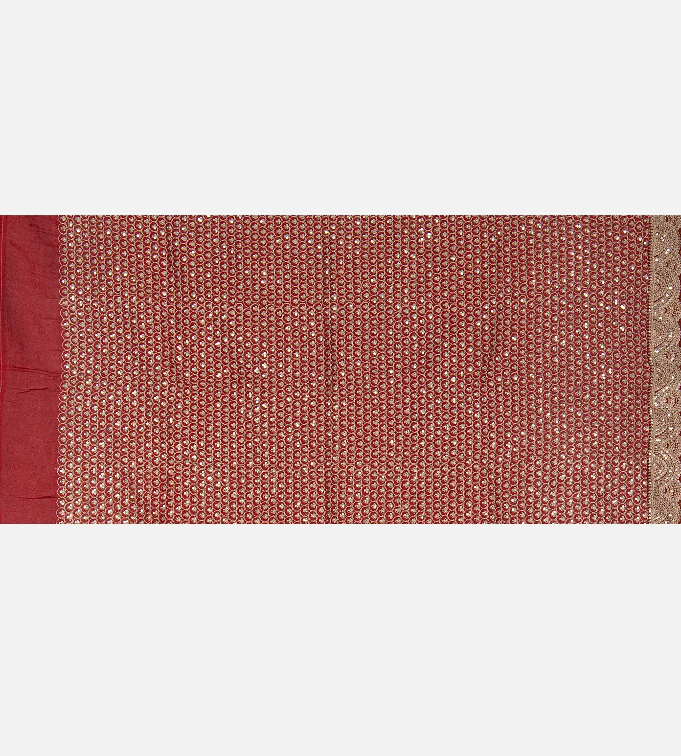 Rust Red Organza Saree4