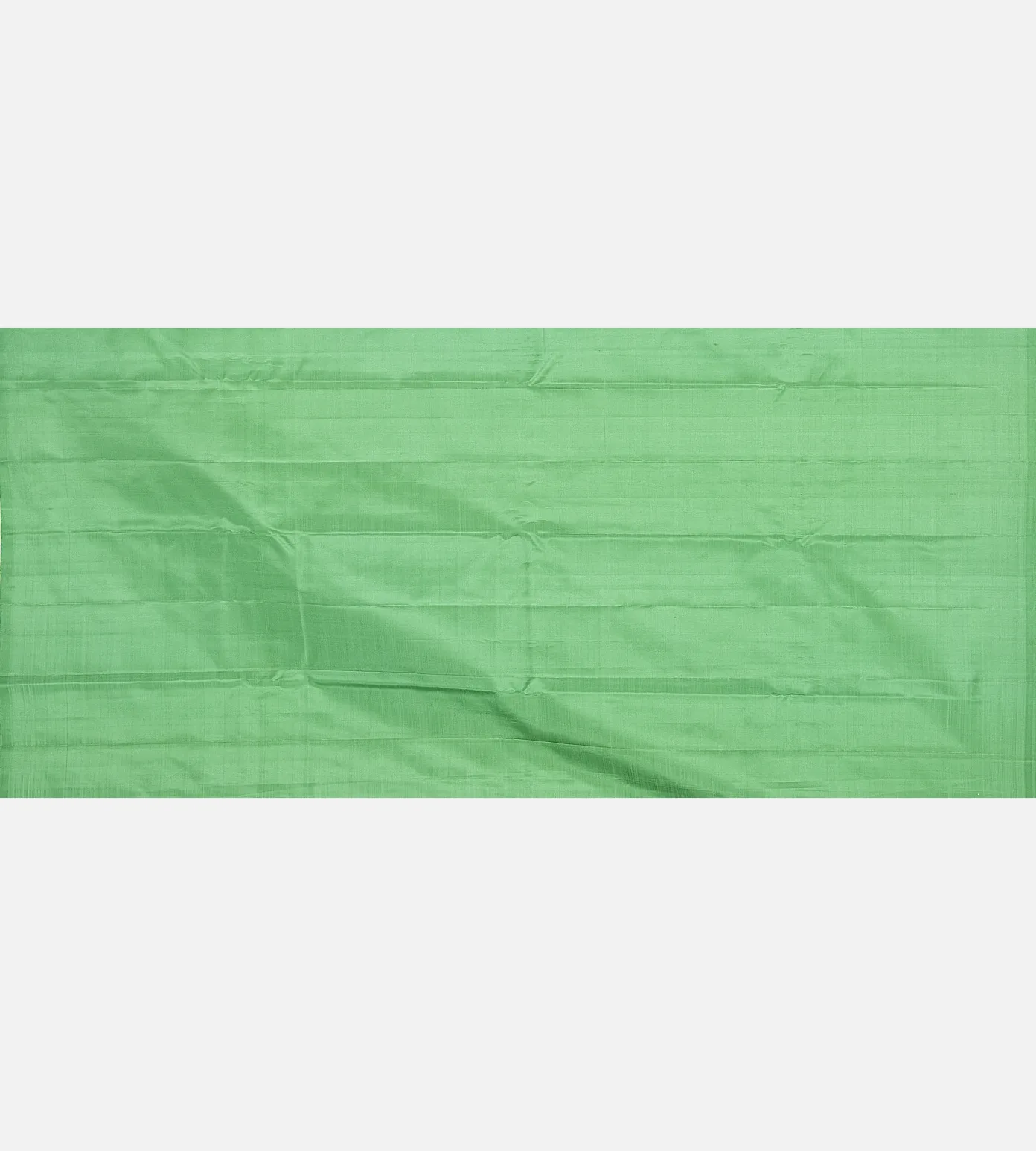 Light Green Kanchipuram Silk Saree4