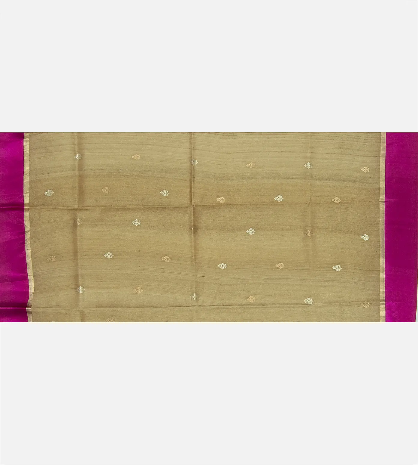 Beige Tussar Saree4