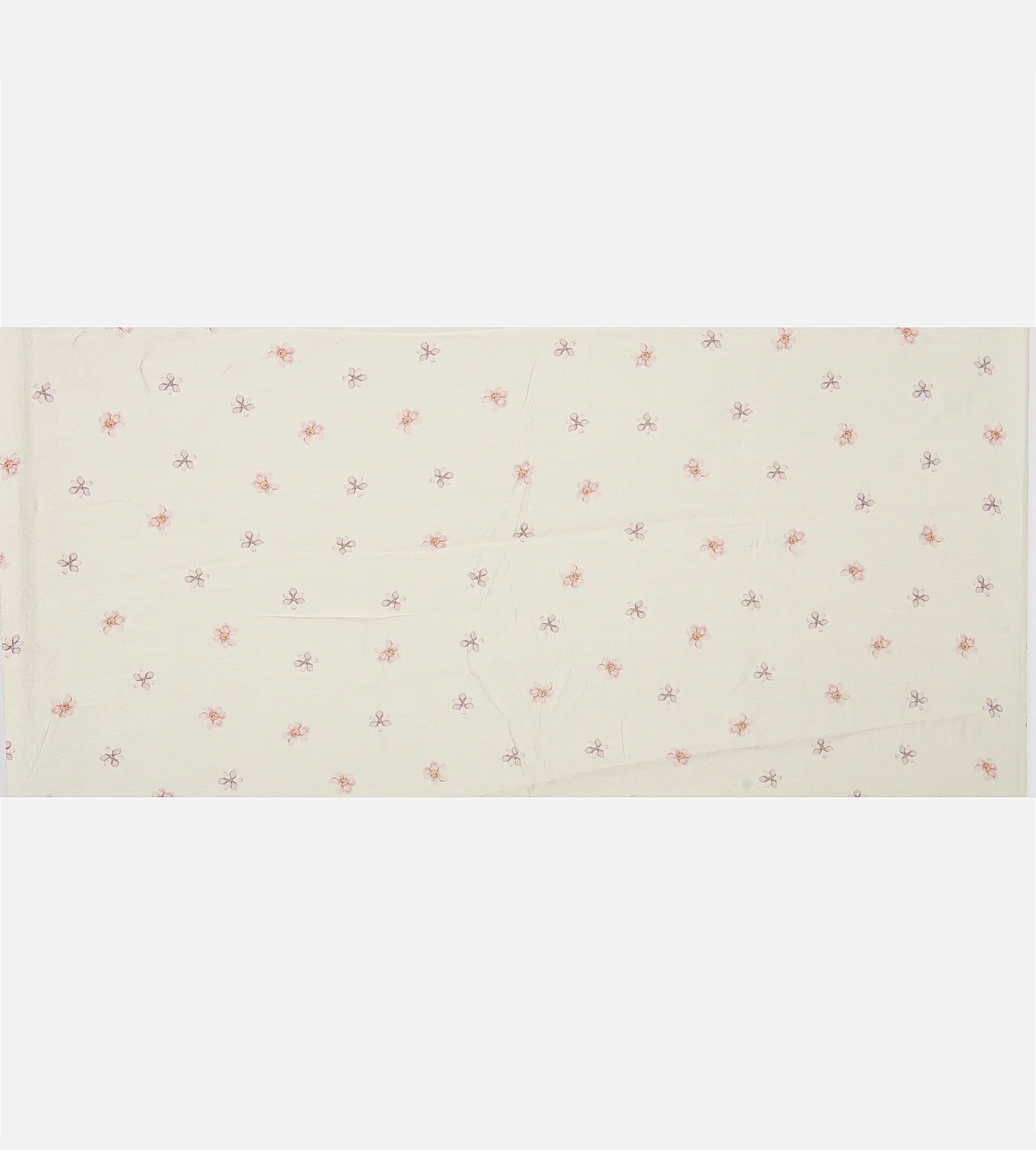 Off-White Organza Saree4