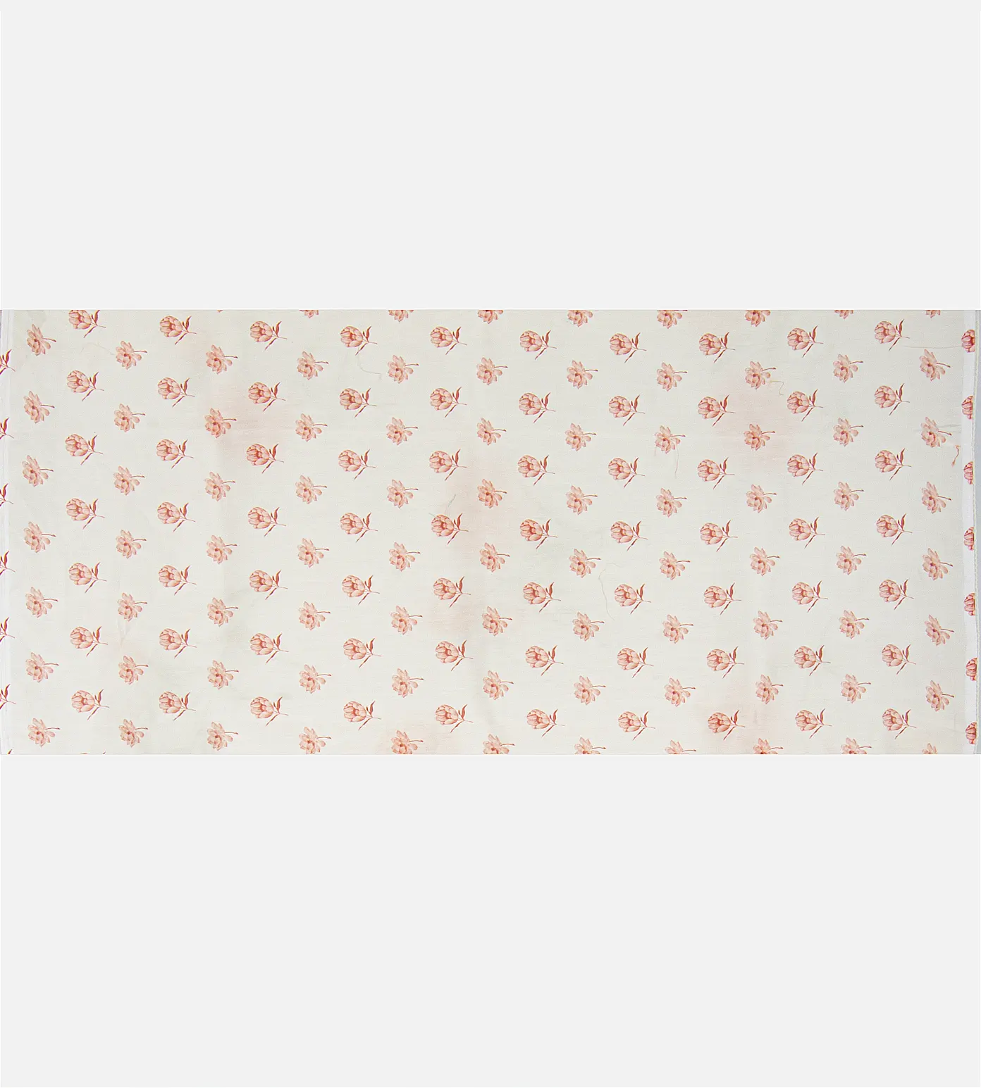 Off-White Organza Saree4