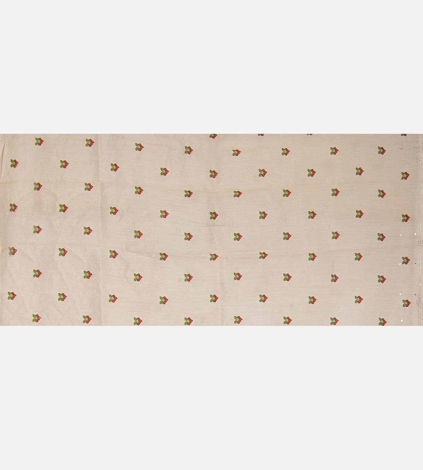 Off-White Organza Saree4