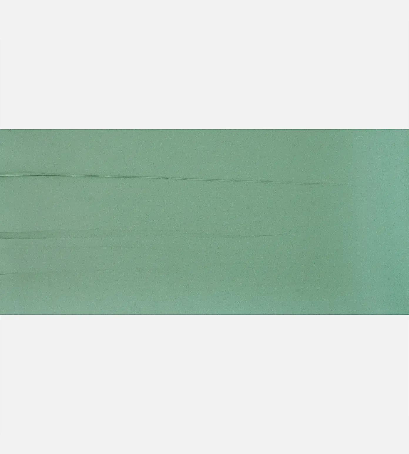 Green Georgette Saree4