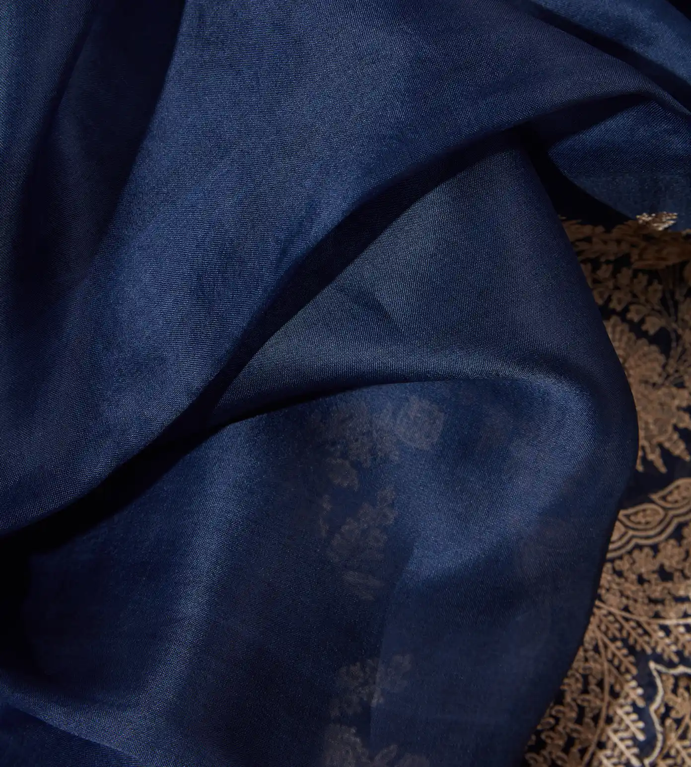 Blue Organza Saree2