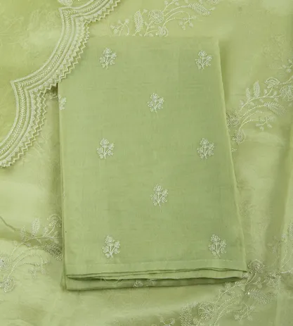 Light Green Organza Embroidery Salwar1