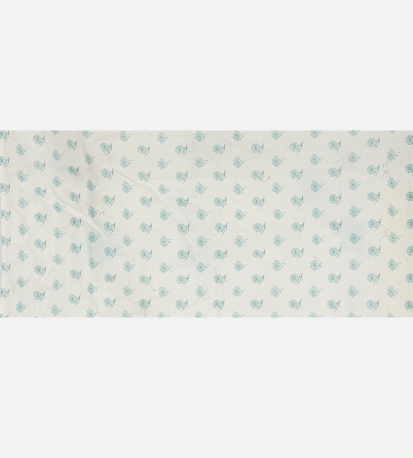 Off-White Organza Saree4