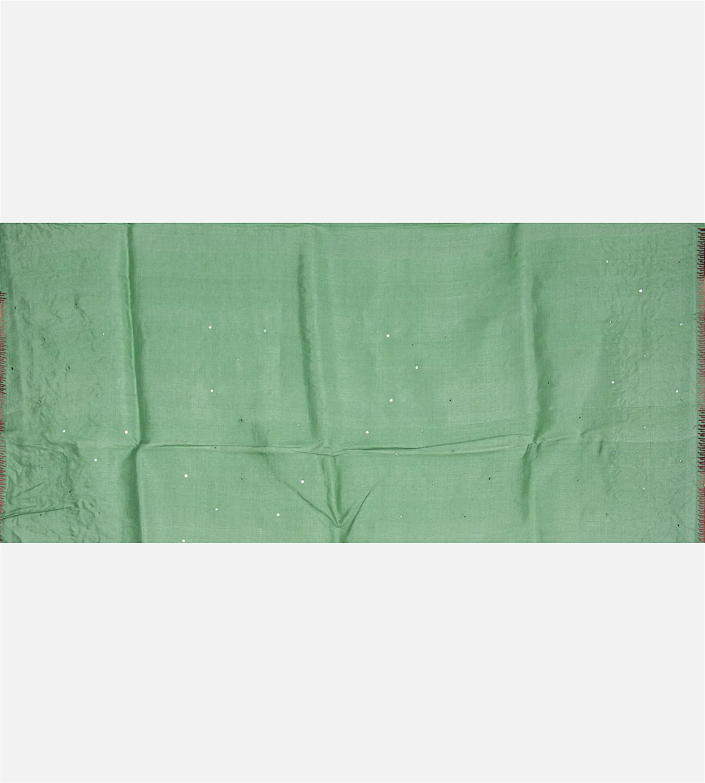 Green Organza Saree4