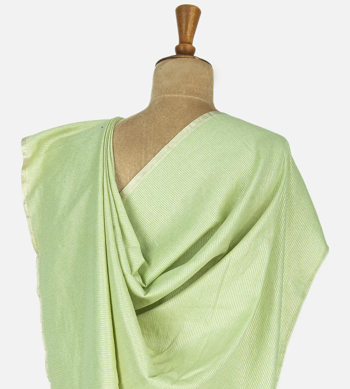 light-green-banarasi-tussar-georgette-c0355285-c