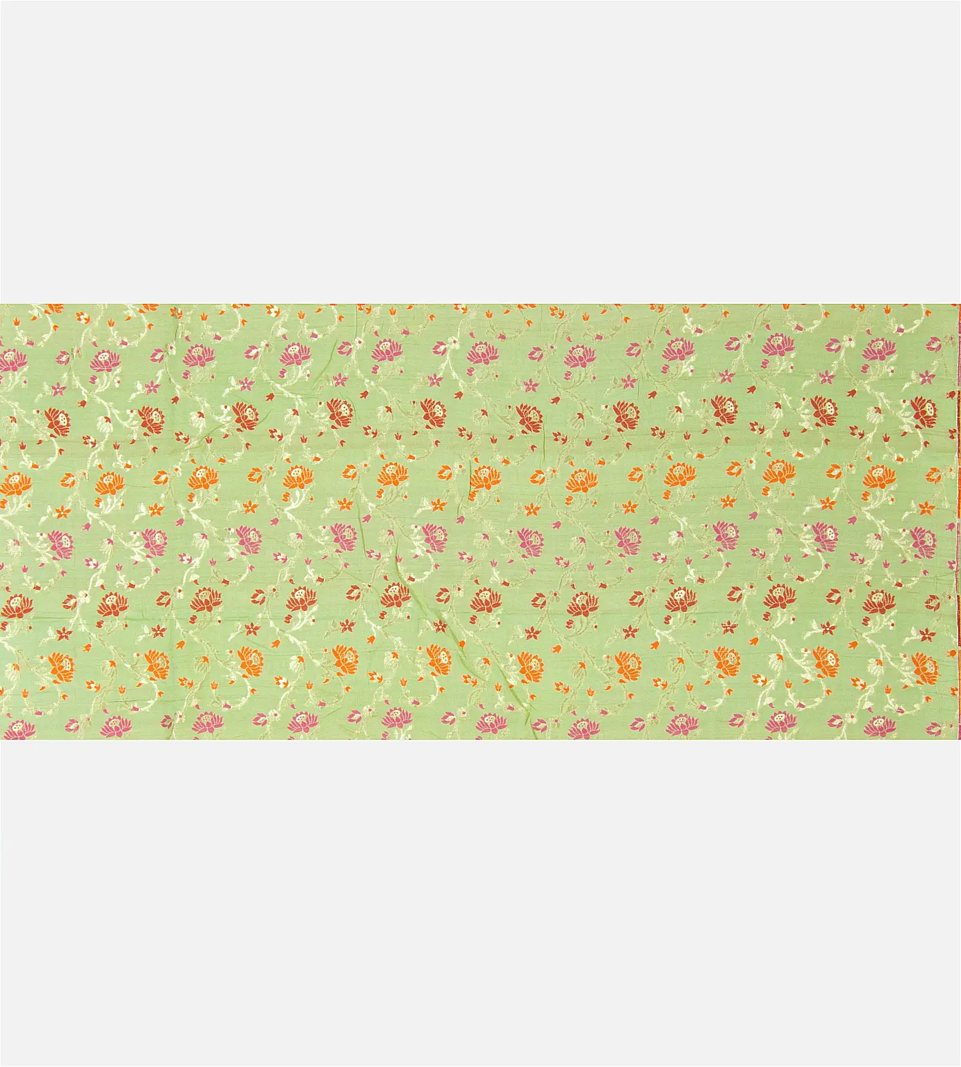 light-green-banarasi-tussar-georgette-c0355285-d