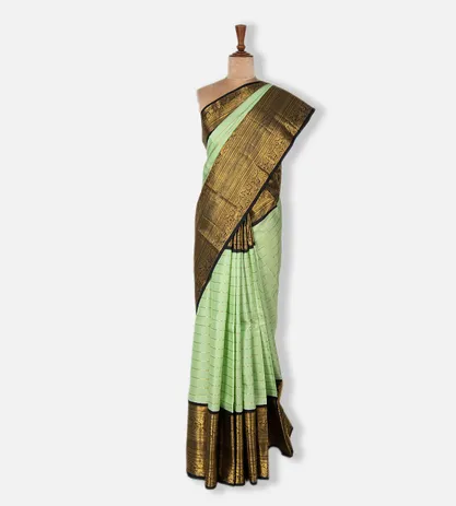 pastel-green-kanchipuram-silk-saree-c0151460-b