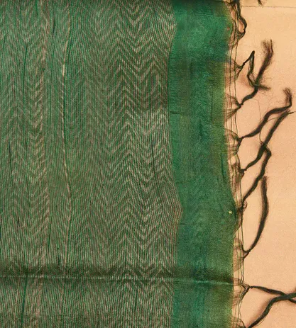 green-raw-silk-saree-c0355639-d