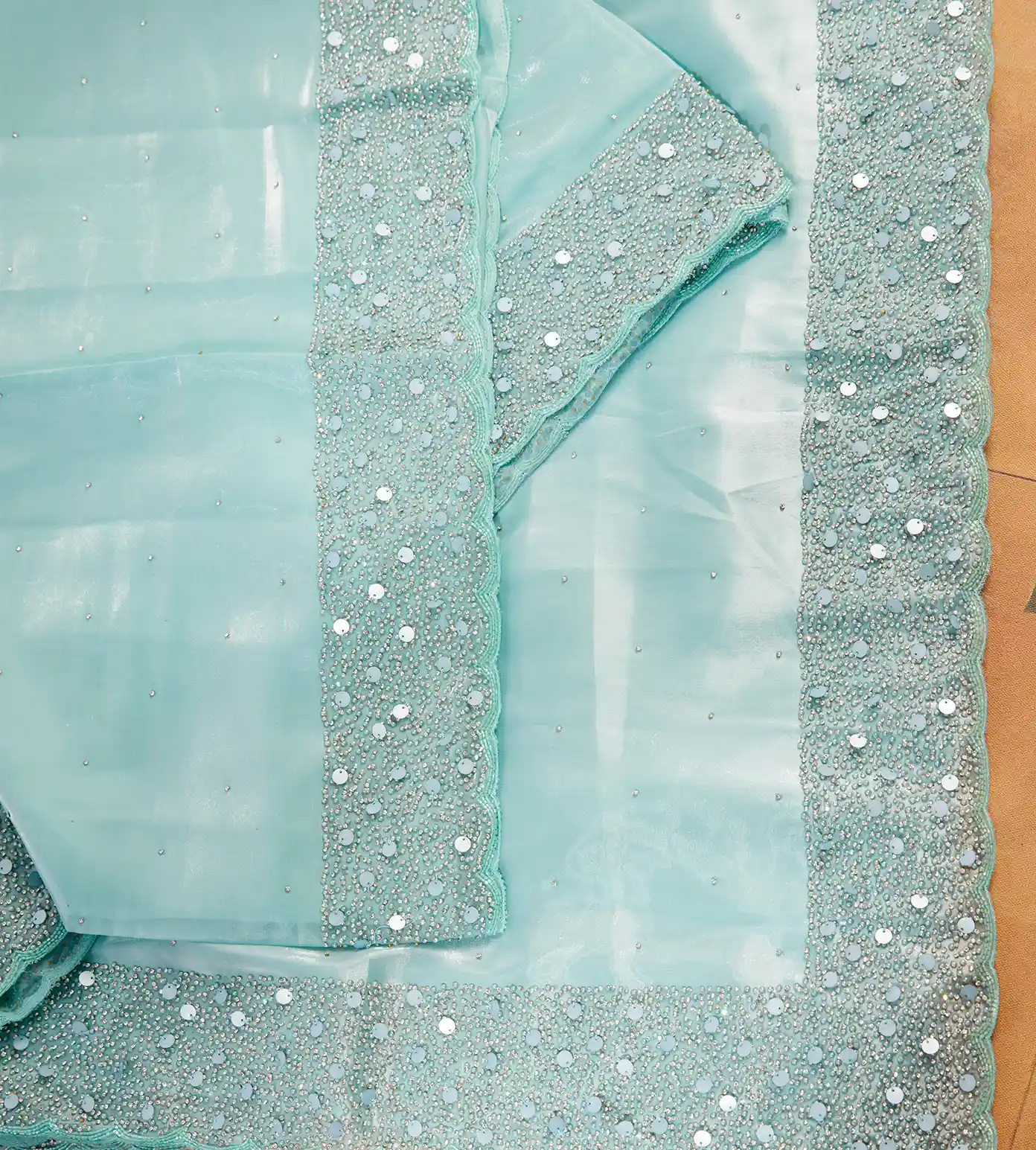 pastel-blue-tissue-organza-saree-c0254672-b