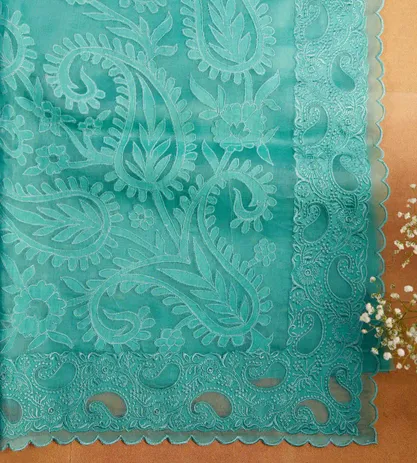 blue-organza-embroidery-saree-c0253493-d