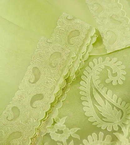 green-organza-embroidery-saree-c0253494-c