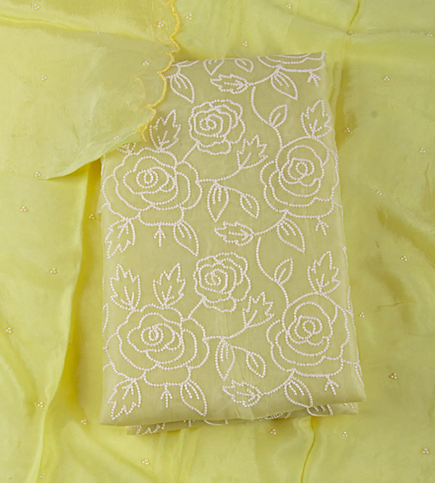 organza-embroidery-salwar-c0457257-a