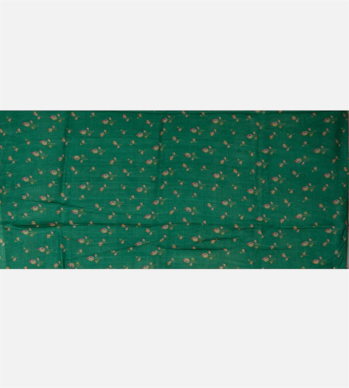 sea-green-tussar-saree-b0943969-d