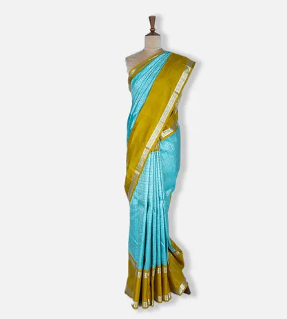 light-blue-kanchipuram-silk-saree-c0151689-b