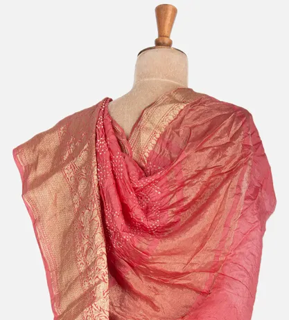 salmon-pink-bandhani-chaniya-silk-saree-c0252893-c