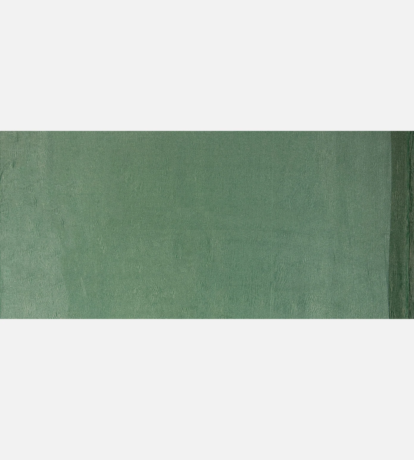 green-crushed-organza-saree-c0254354-e