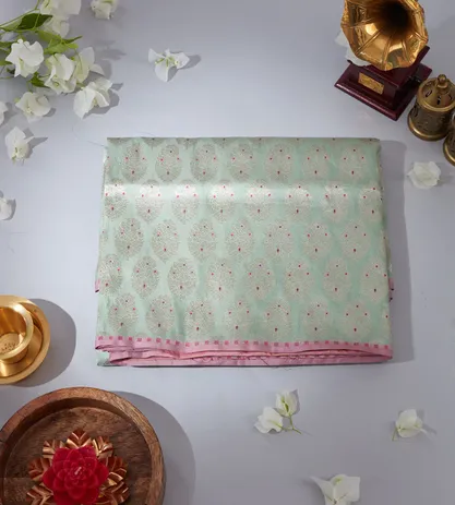 pastel-green-banarasi-silk-saree-c0558002-a