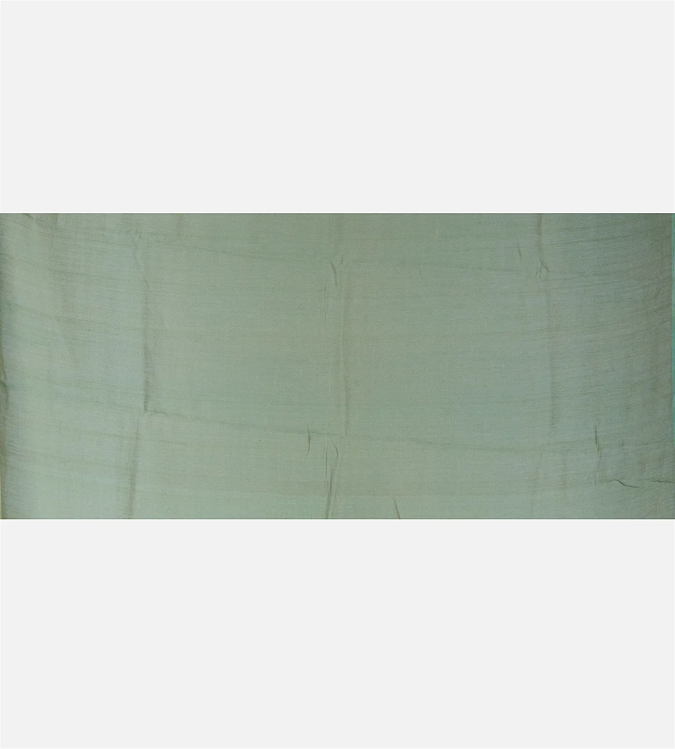 pastel-green-tissue-tussar-saree-c0558705-d