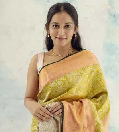 green-tissue-kanchipuram-silk-saree-b0840734-a