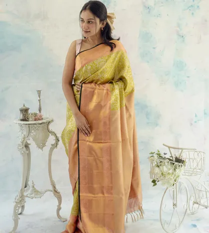 green-tissue-kanchipuram-silk-saree-b0840734-b