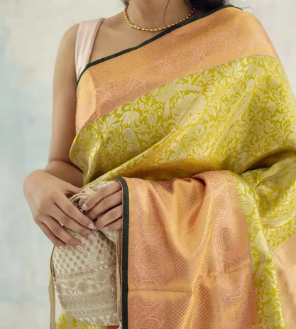 green-tissue-kanchipuram-silk-saree-b0840734-c