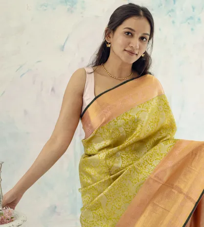green-tissue-kanchipuram-silk-saree-b0840734-d