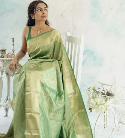 green-kanchipuram-silk-saree-b1249313-d