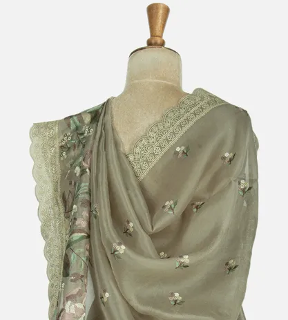 green-organza-saree-c0660451-c