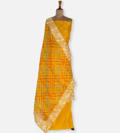 tangerine-yellow-embroidery-salwar-b0942391-b