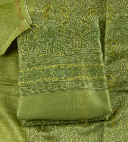 green-chanderi-cotton-salwar-c0762201-a